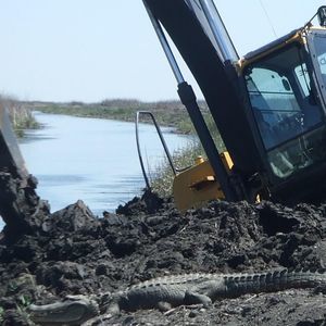 Meet your Posher, Brad